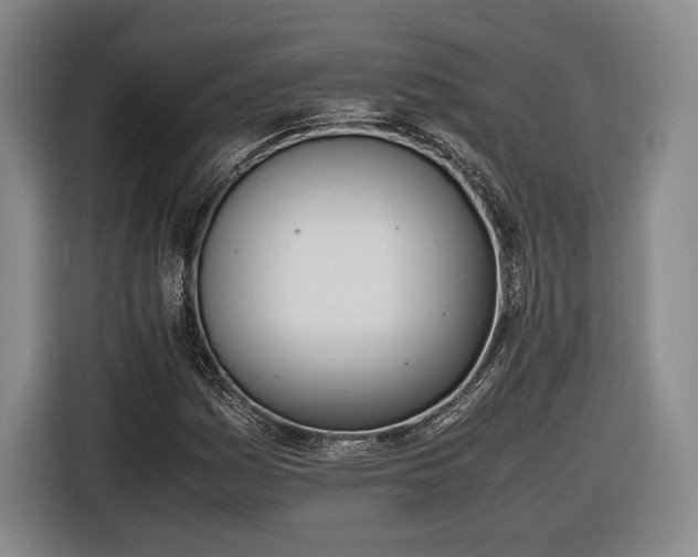 X0000116461161200912161226