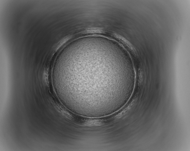 X0000116461162200912161226