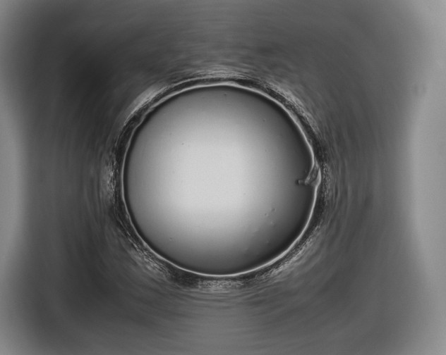 X0000116461163200912161226