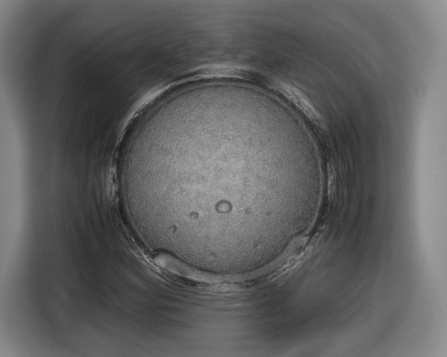 X0000116461164200912161226