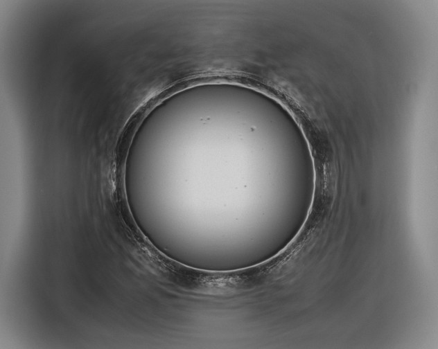 X0000116461165200912161226