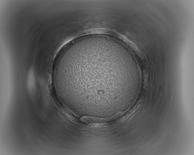 X0000116461166200912161226