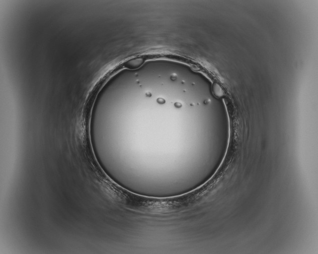 X0000116461167200912161226