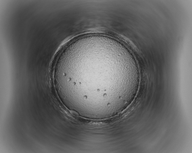 X0000116461168200912161226