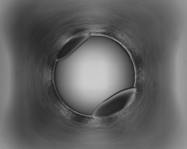 X0000116461169200912161226