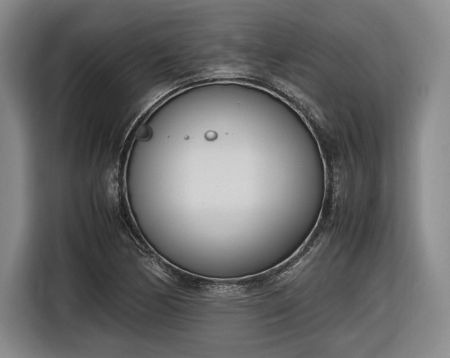 X0000116461170200912161226