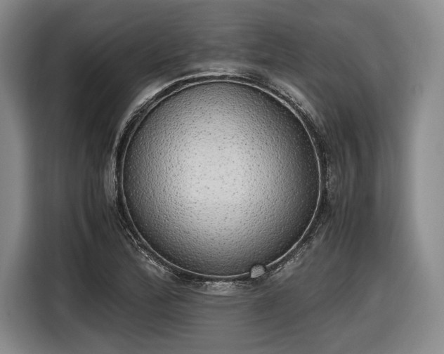 X0000116461172200912161226