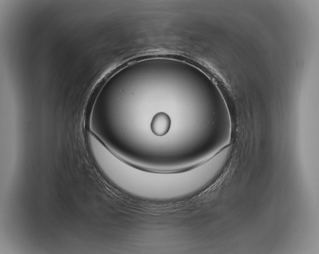 X0000116461173200912161226