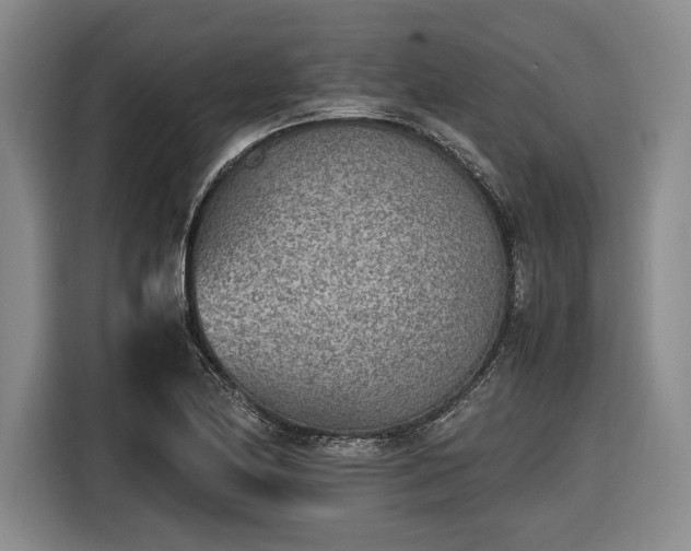 X0000116461174200912161226