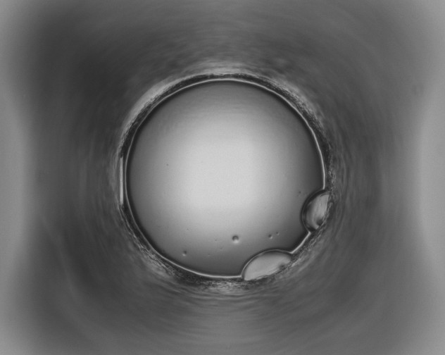X0000116461175200912161226