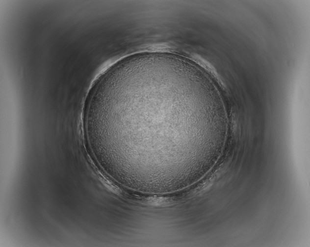 X0000116461176200912161226