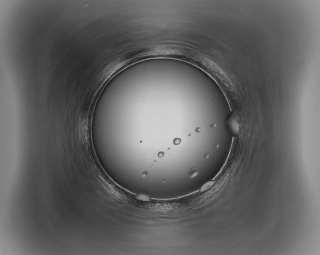 X0000116461177200912161226