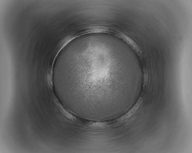 X0000116461178200912161226