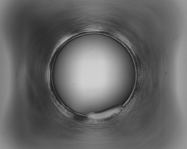 X0000116461179200912161226