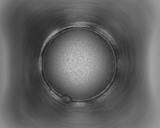 X0000116461180200912161226