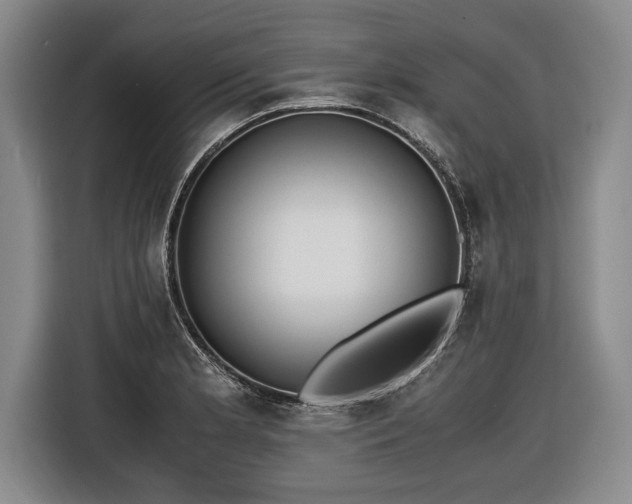 X0000116461181200912161226