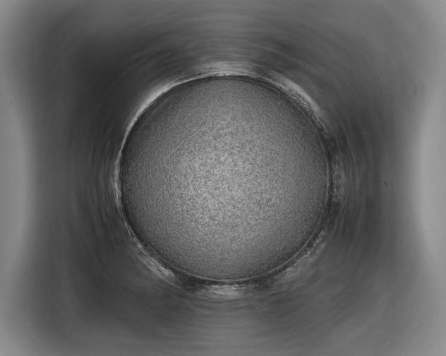 X0000116461182200912161226