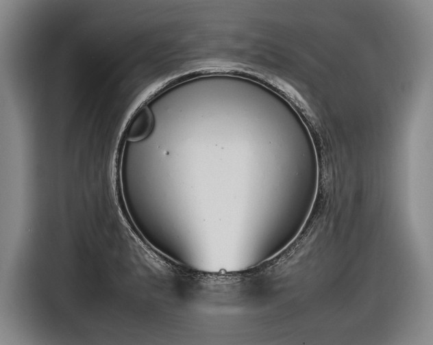 X0000116461183200912161226