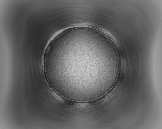 X0000116461184200912161226