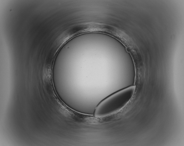 X0000116461185200912161226