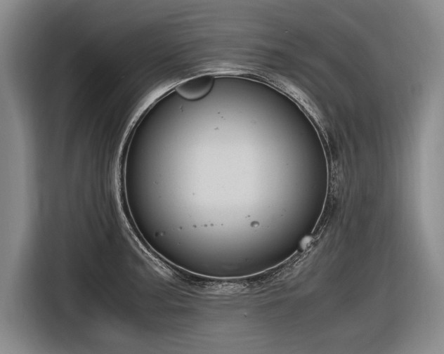 X0000116461187200912161226