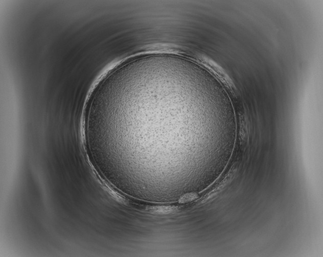X0000116461188200912161226