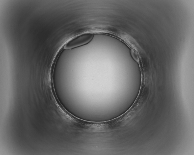 X0000116461189200912161226