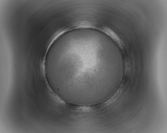 X0000116461190200912161226