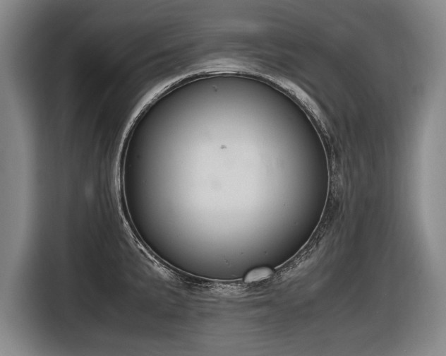 X0000116461191200912161226