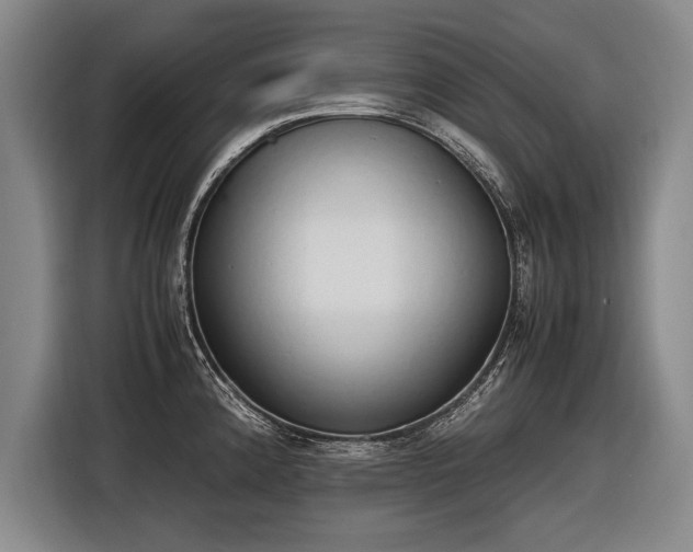 X0000116461192200912161226