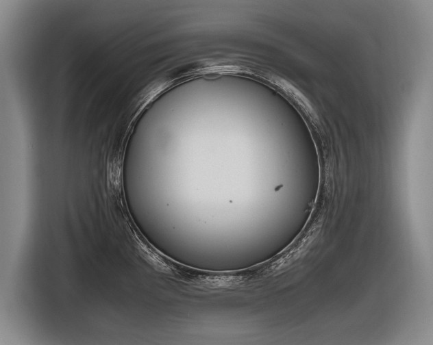 X0000116461193200912161226