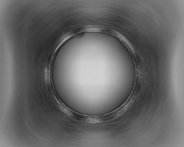 X0000116461194200912161226