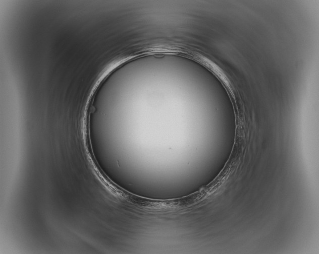 X0000116461195200912161226