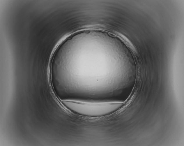X0000116461196200912161226