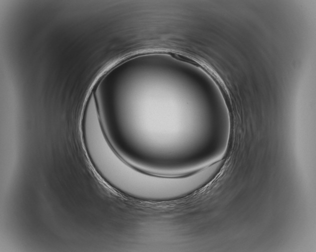 X0000116461197200912161226