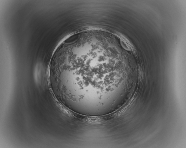 X0000116461198200912161226