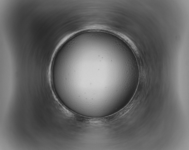 X0000116461199200912161226