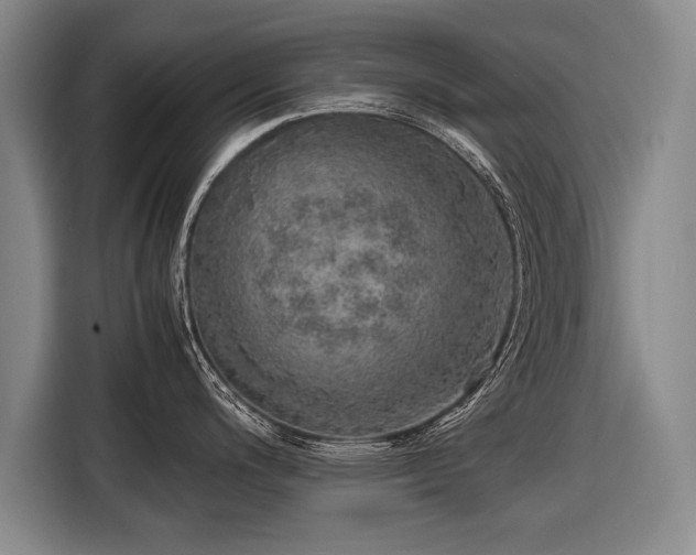 X0000116461200200912161226