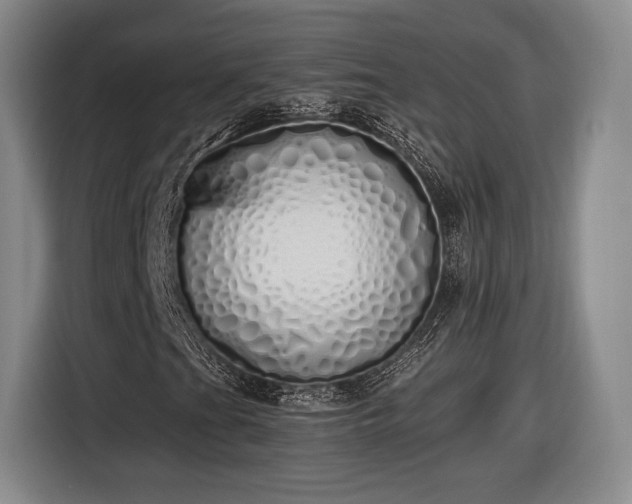 X0000116461201200912161225