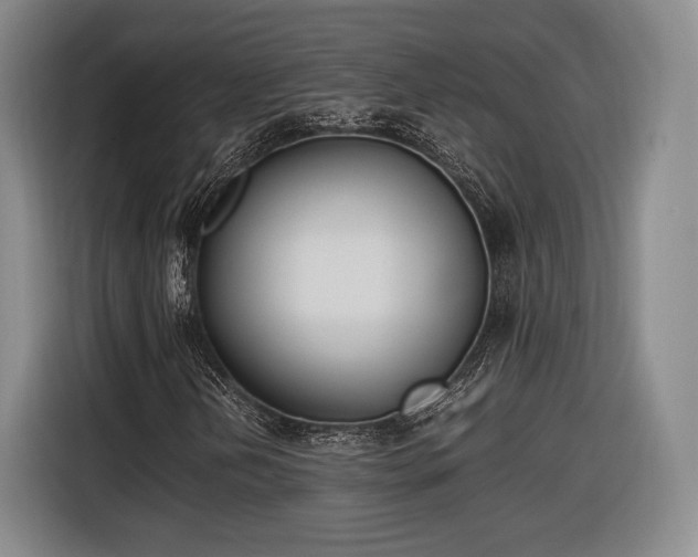 X0000116461202200912161225