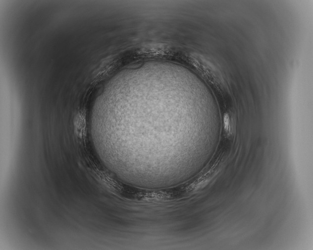 X0000116461203200912161225