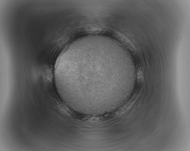 X0000116461204200912161225