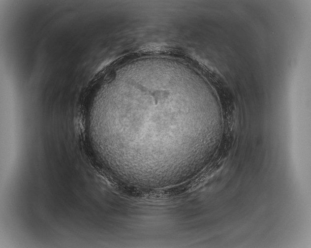 X0000116461206200912161225