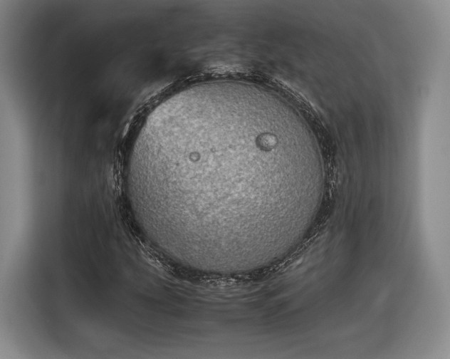 X0000116461207200912161225