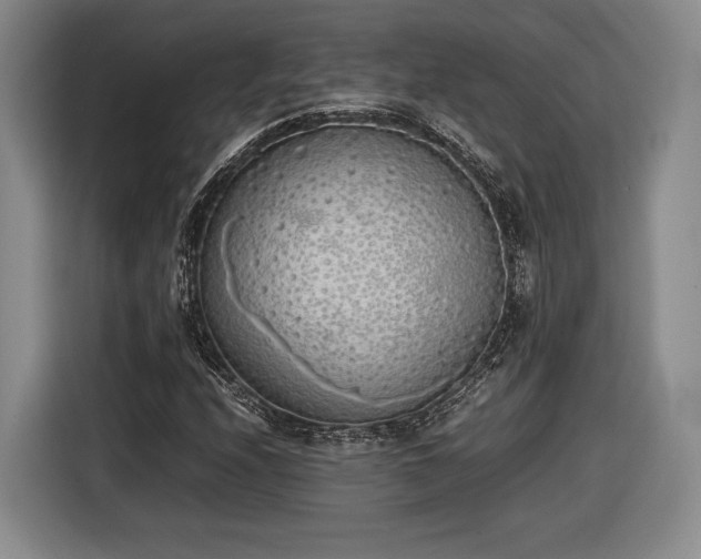 X0000116461208200912161225