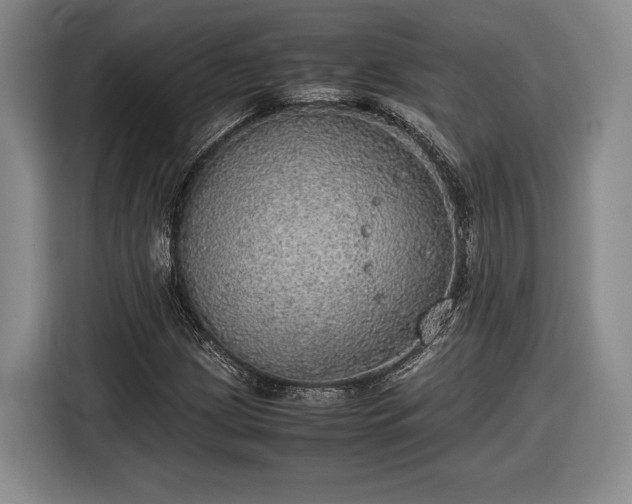 X0000116461209200912161225
