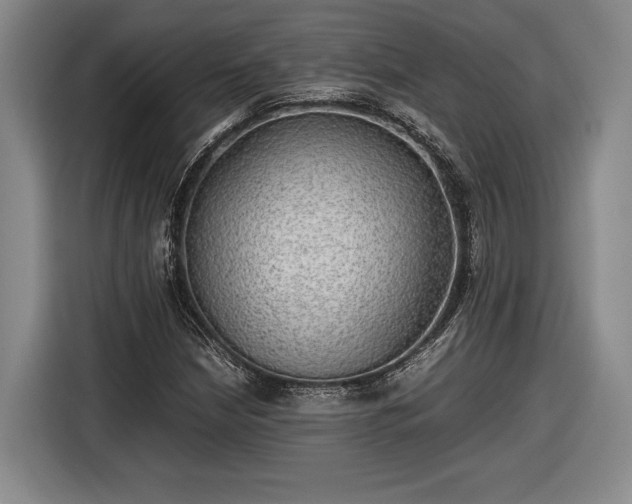 X0000116461210200912161225