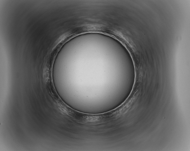 X0000116461211200912161225