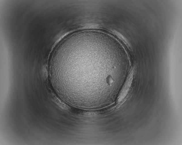 X0000116461212200912161225