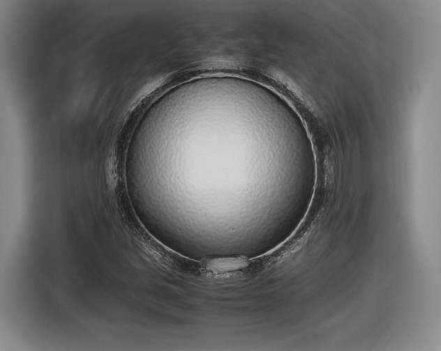 X0000116461213200912161225